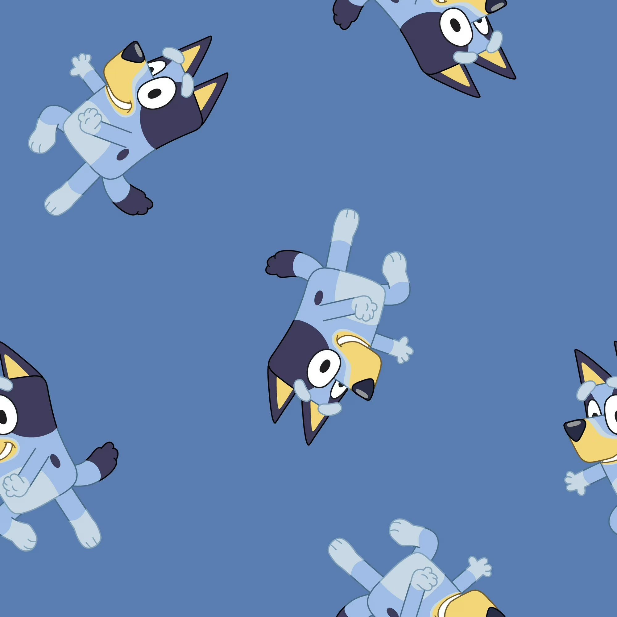 Licensed Disney Polar Fleece